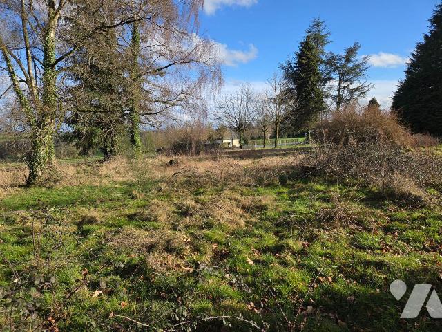 Terrain 1000 m² · à Saint-Georges-Buttavent · 1 000 m² · 19 000 €