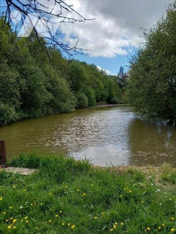 Terrain 4014 m² · à Pellerine · 4 014 m² · 22 500 €