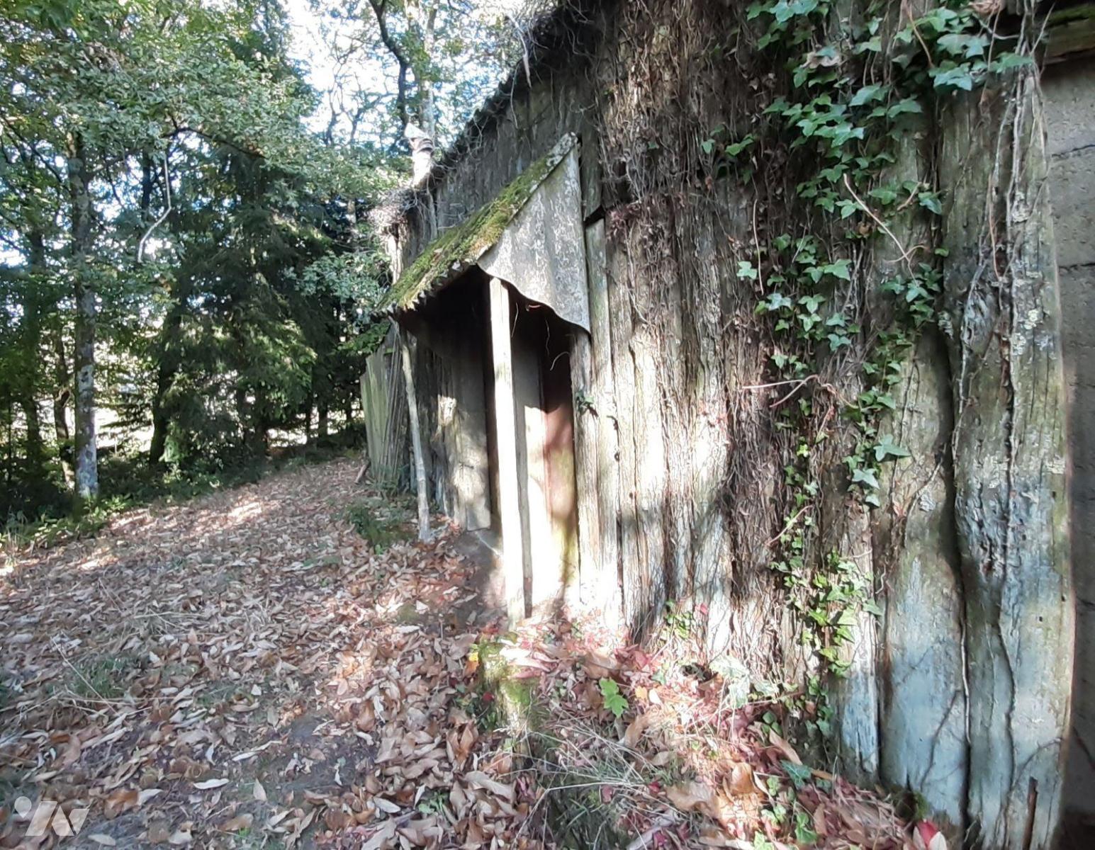 VENTE maison-LE SOURN (56)