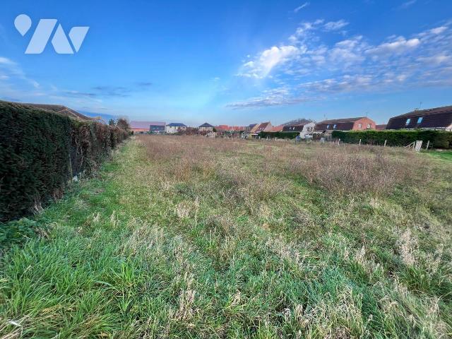 Terrain — Ostricourt