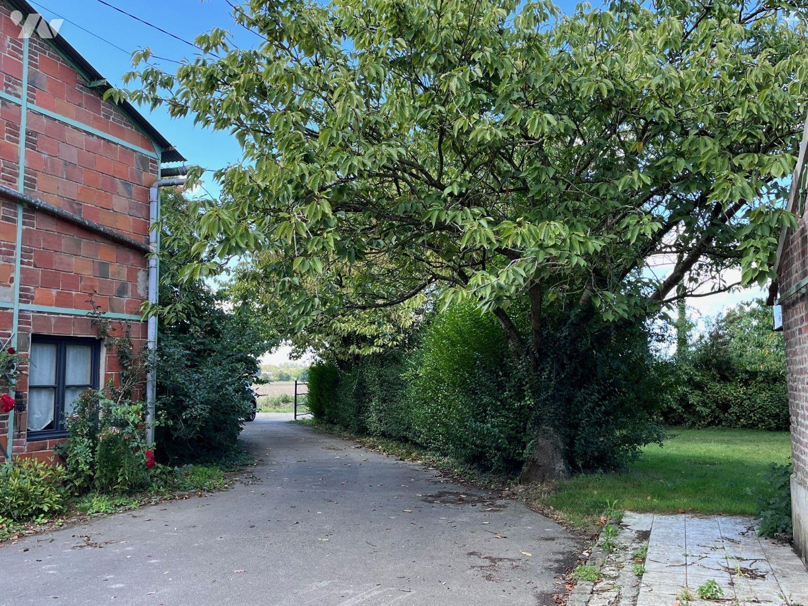 VENTE maison-MORBECQUE (59)
