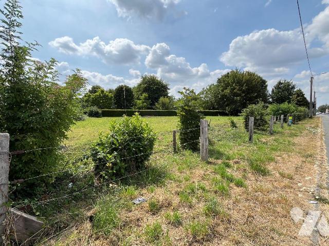 Terrain — Wallon-Cappel