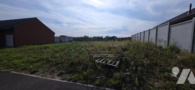 Vente - Terrain - ESCAUTPONT - 437 m² - 59170/59170-230