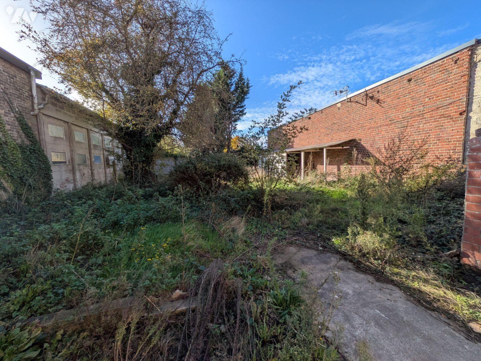 VENTE maison-ESQUELBECQ (59)