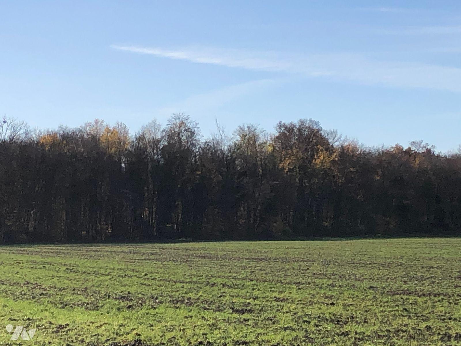 Terrain — Farges-lès-Chalon