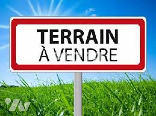 Terrain — Machy