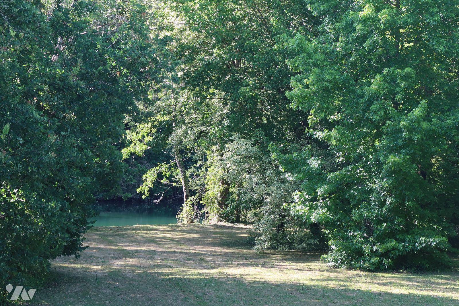 VENTE maison-ST CYR (86)