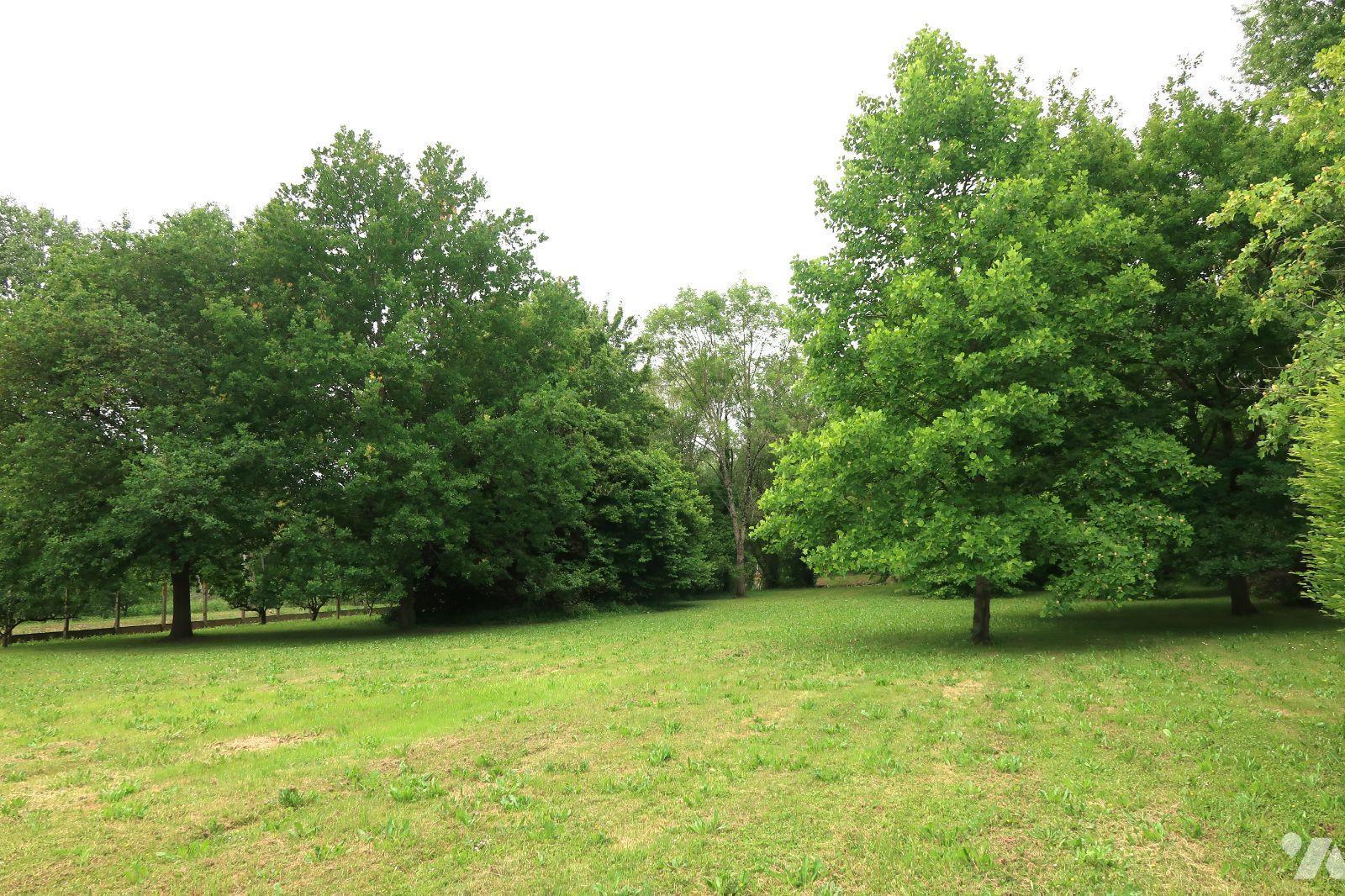 VENTE maison-ST CYR (86)