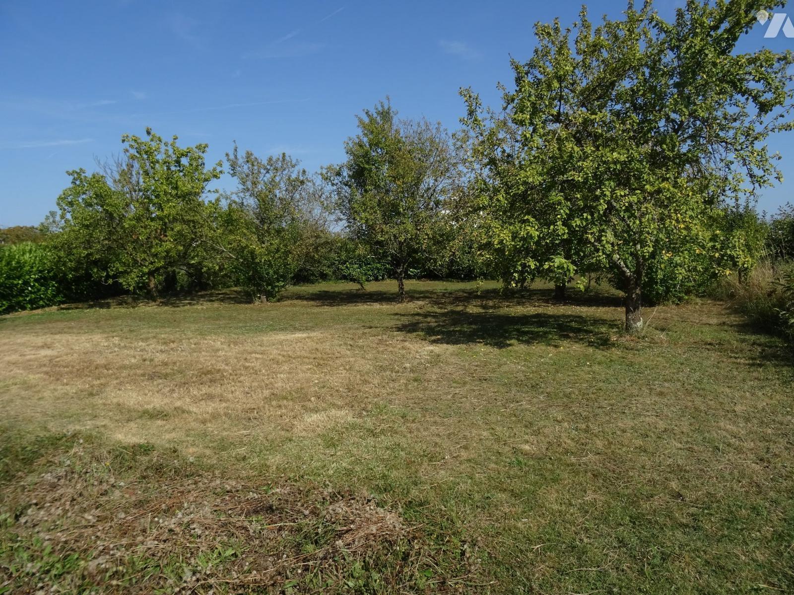 Terrain — Chapelle-Viviers