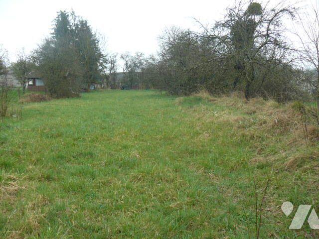 Terrain 1678 m² · à Domèvre-sur-Durbion · 1 678 m² · 23 000 €