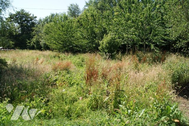 Terrain — Saint-André-d'Hébertot