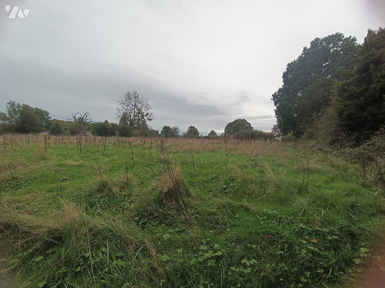 VENTE terrain-FORMENTIN (14)