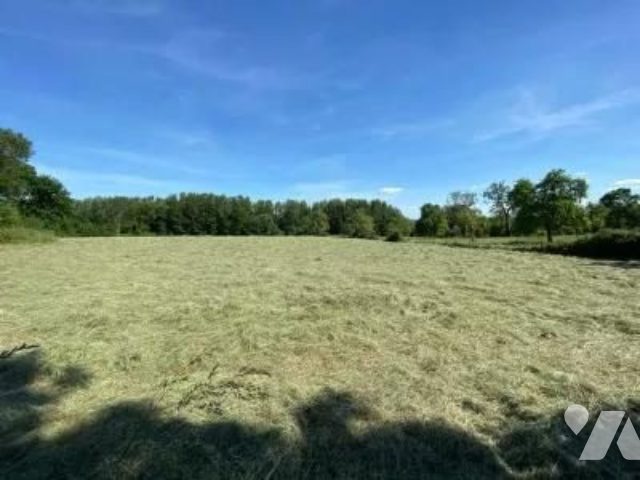 Terrain — Manneville-la-Pipard