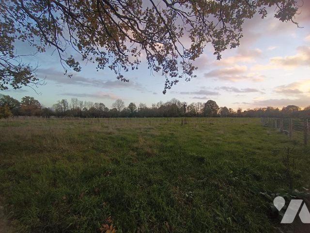 Terrain — Saint-Philbert-des-Champs