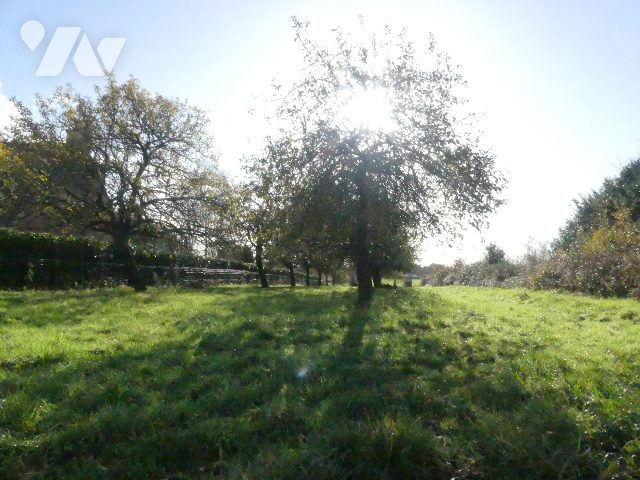 Terrain 1280 m² · à Rieux · 1 280 m² · 35 000 €
