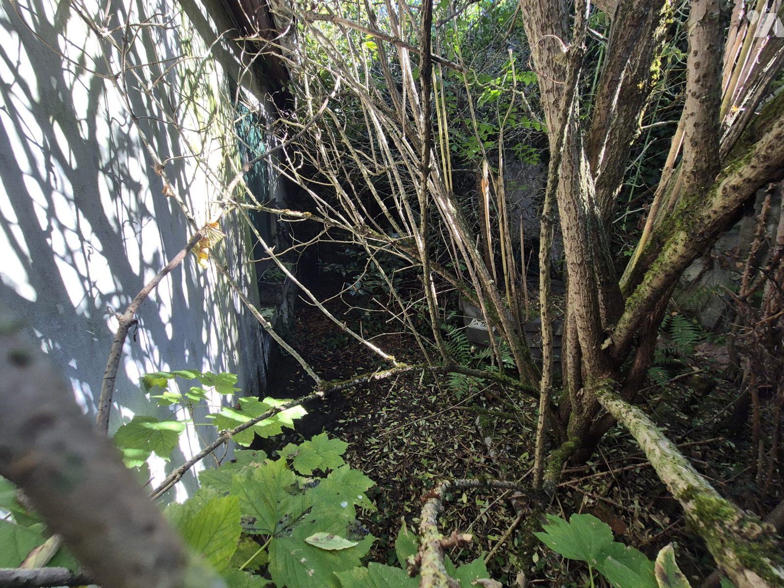 VENTE maison-LA FERRIERE AU DOYEN (61)