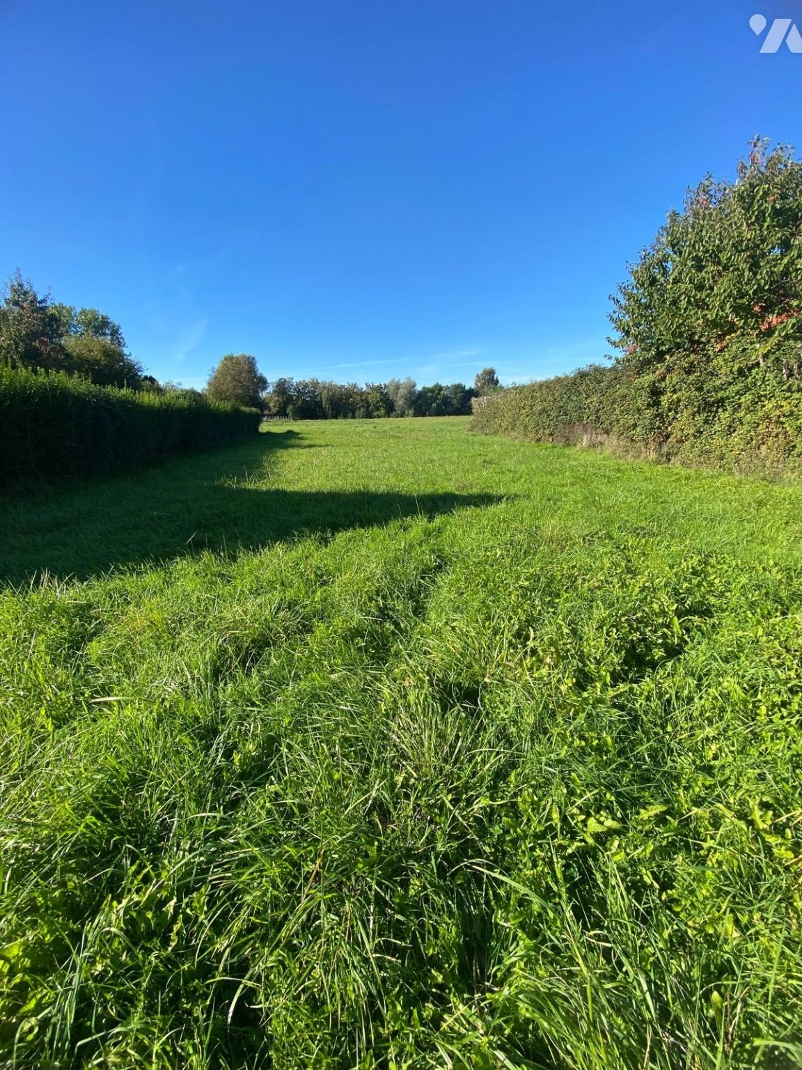 Terrain 6494 m² · à Andres · 6 494 m² · 90 000 €
