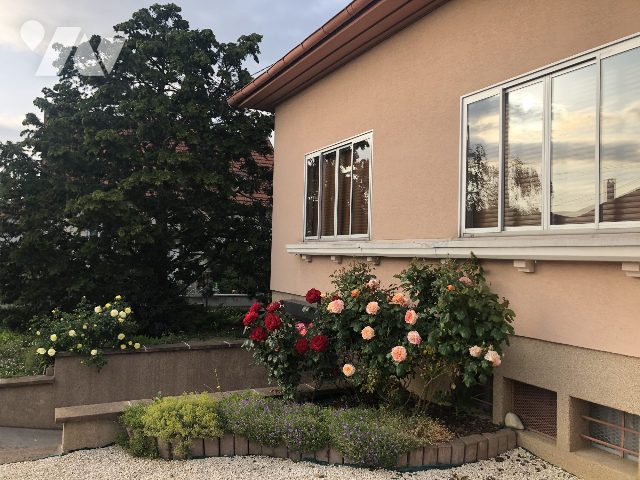 Vente Maison / villa RIXHEIM