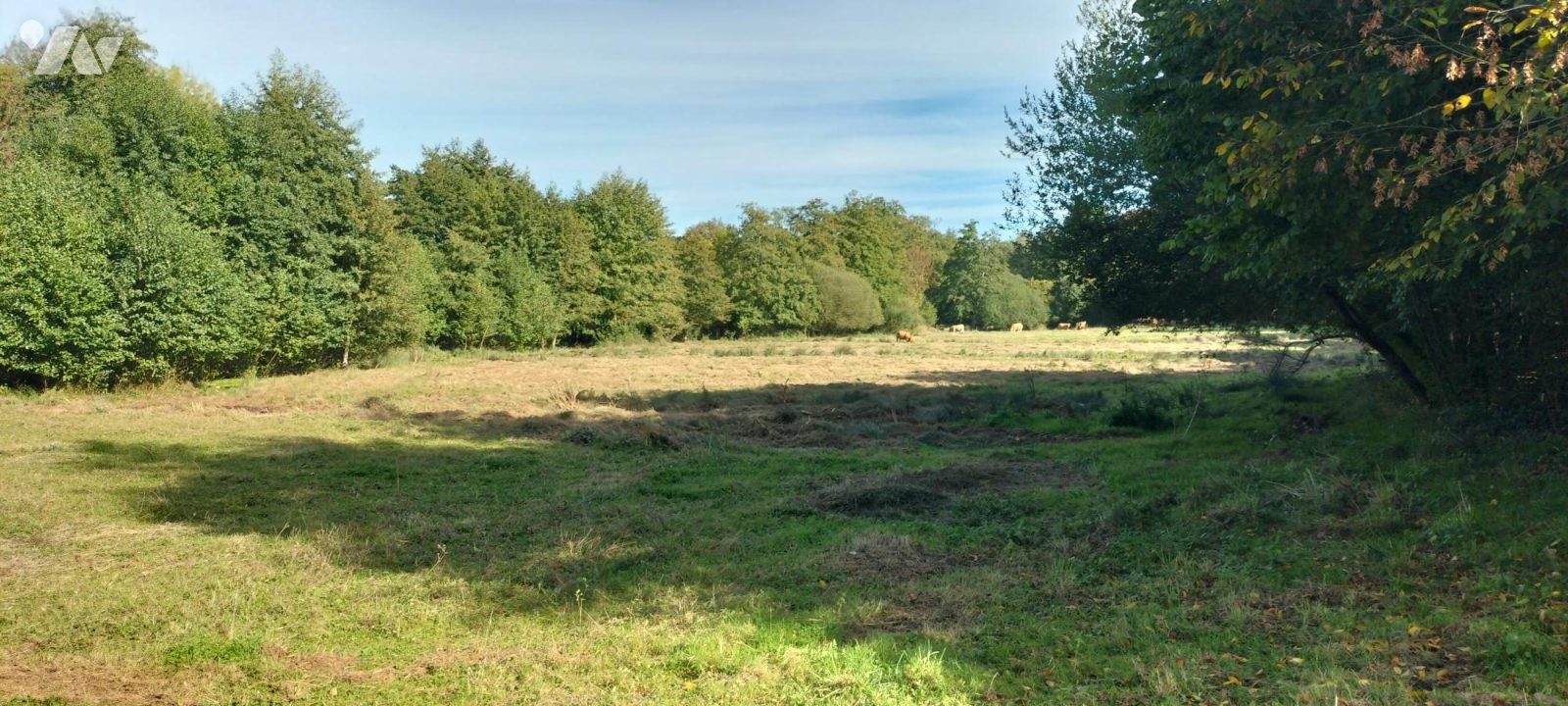 VENTE maison-MELLE (79)