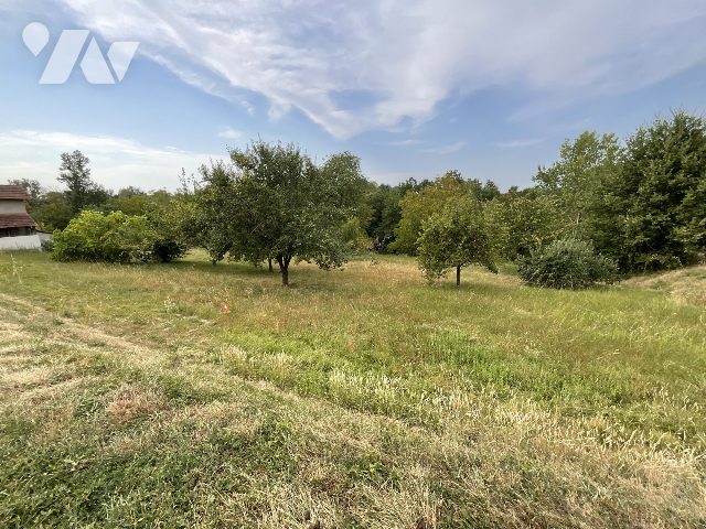 Vente - Terrain - ST SARDOS - 6 410 m² - VT149-82028