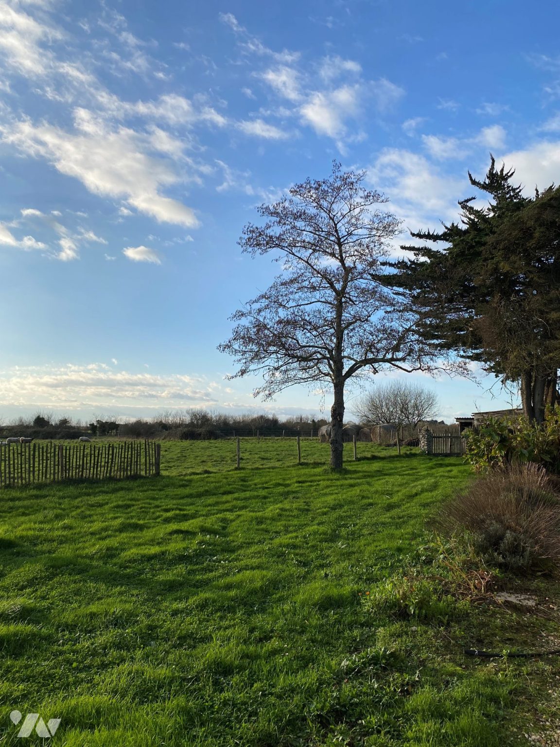 VENTE maison-ST URBAIN (85)