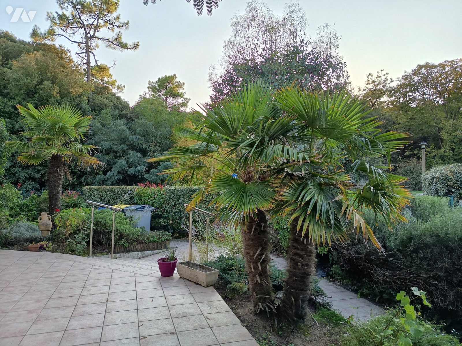 VENTE maison-ST JEAN DE MONTS (85)
