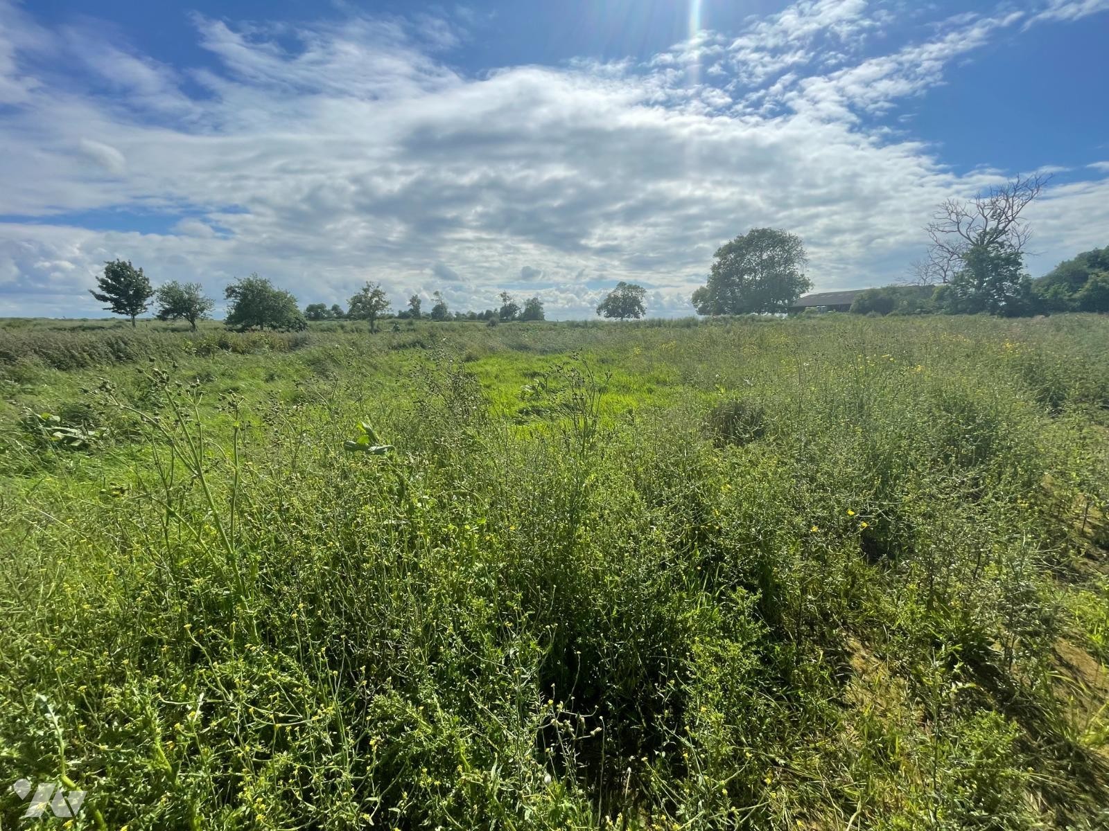 Terrain 891 m² · à Sainte-Croix-sur-Mer · 891 m² · 100 000 €