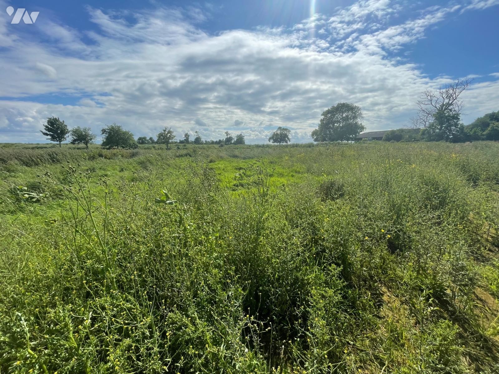 Terrain 1023 m² · à Sainte-Croix-sur-Mer · 1 023 m² · 110 000 €