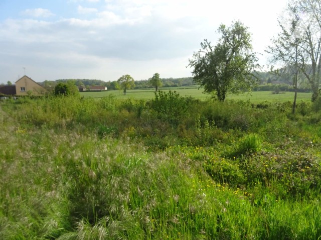 Vente - Terrain - LA FERRIERE BOCHARD - 596 m² - 402900