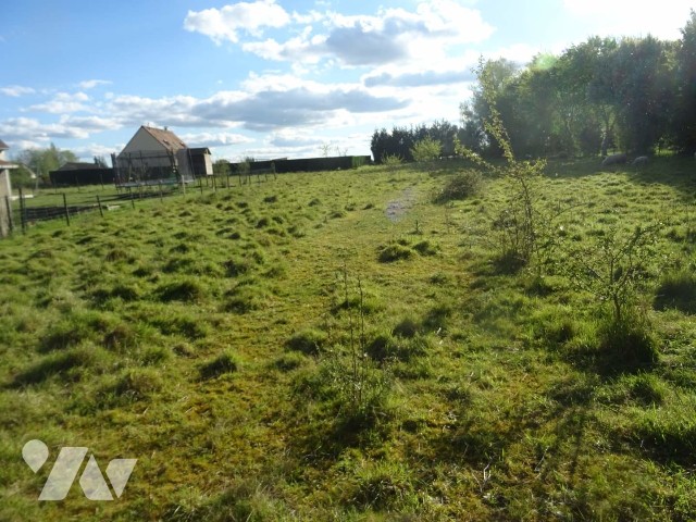 Terrain — Larré