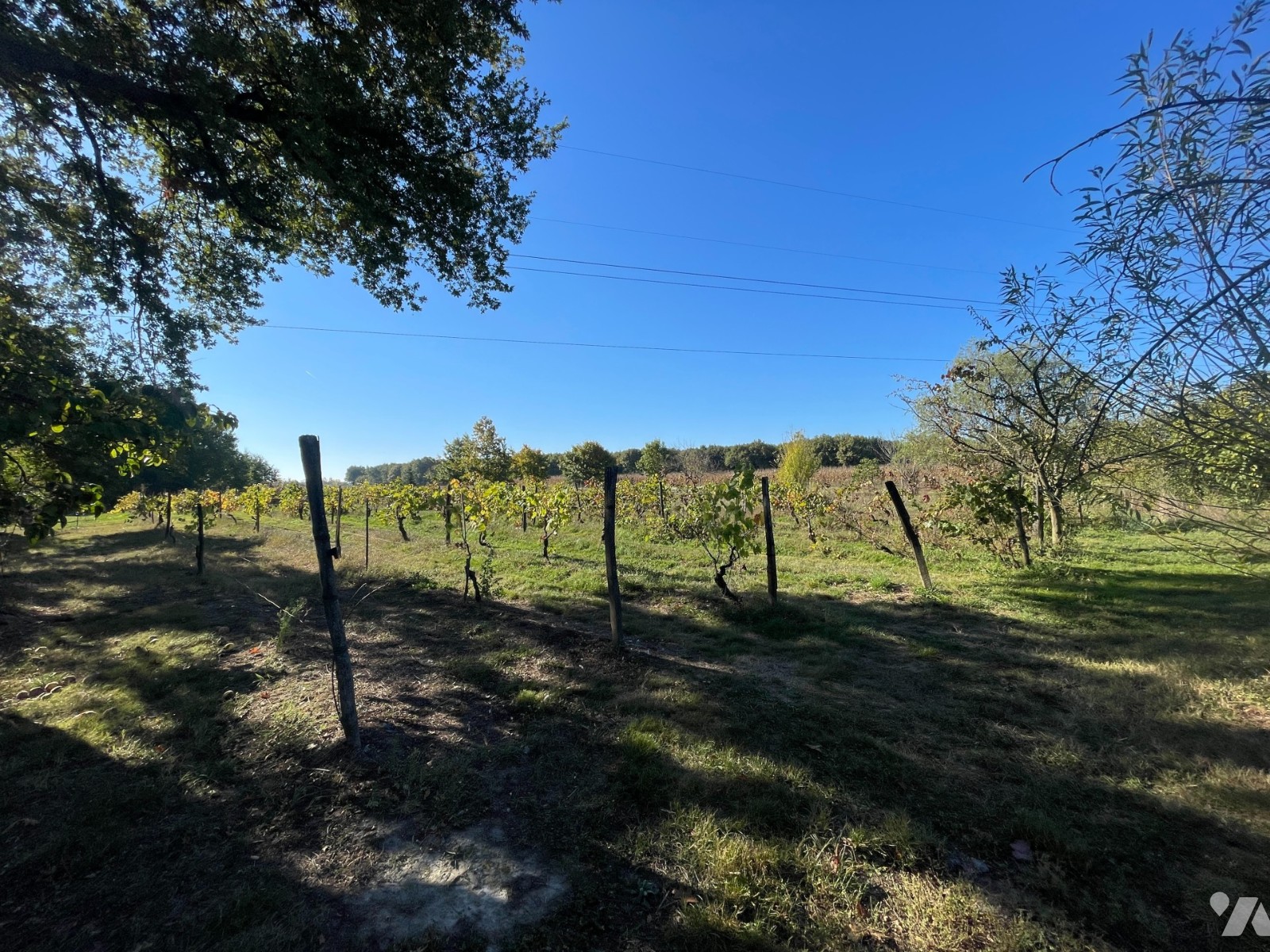 VENTE maison-LACOURT ST PIERRE (82)