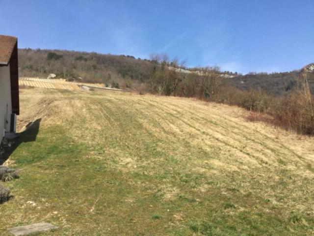 Vente - Terrain à bâtir - Cerdon - 2400.00m² - Ref : 031/2313