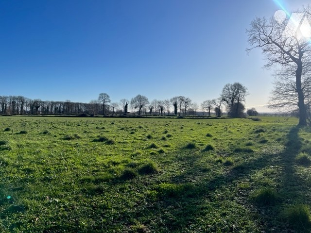 Terrain 386 m² · à La Mézière · 386 m² · 115 800 €