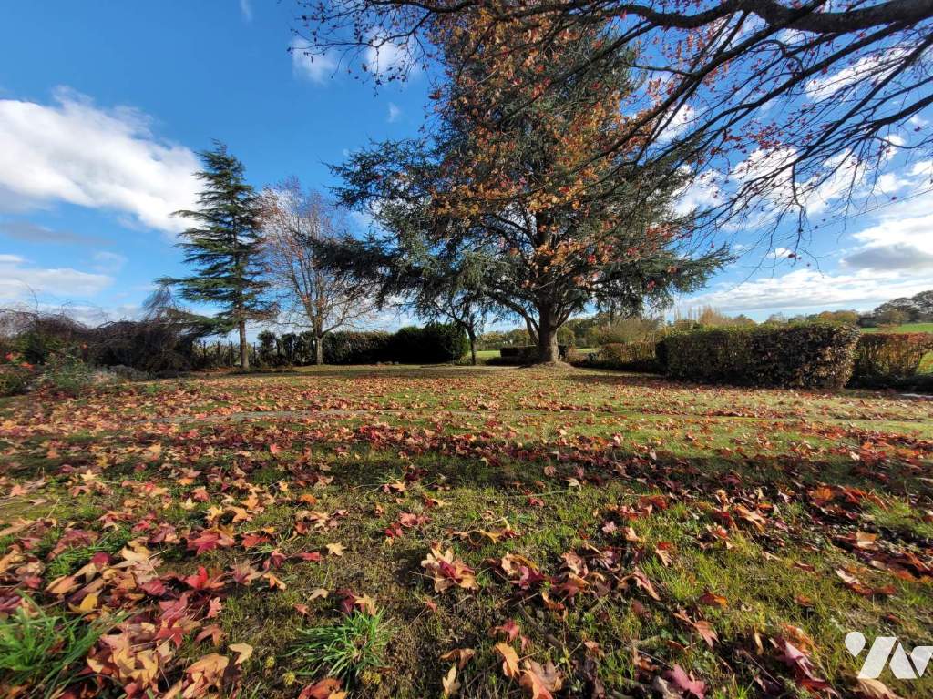 VENTE maison-DOMAGNE (35)