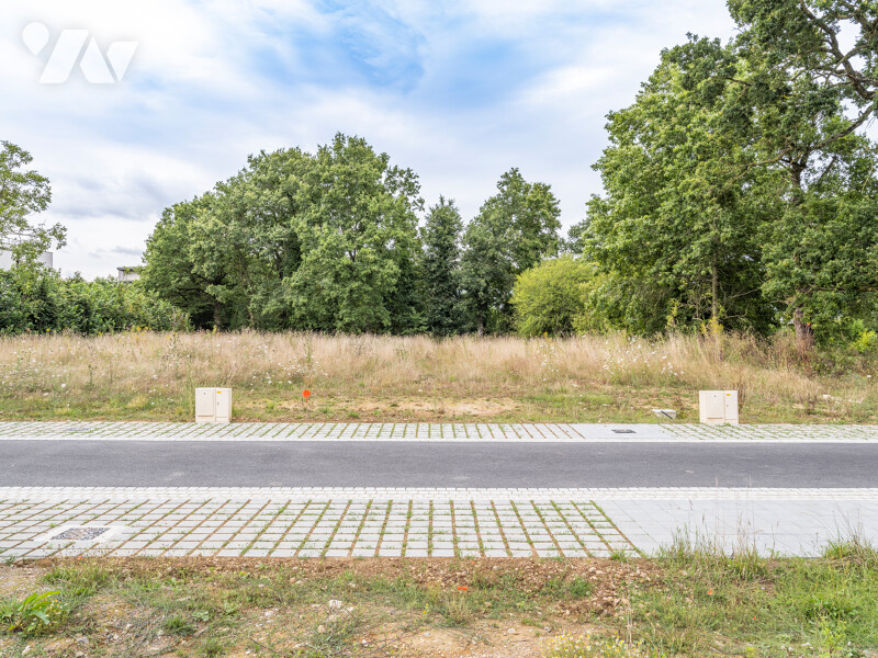 Terrain 247 m² · à Chapelle-Thouarault · 247 m² · 79 800 €