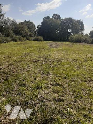 Vente - Terrain - ST MARC LE BLANC - 4 285 m² - 037/1872