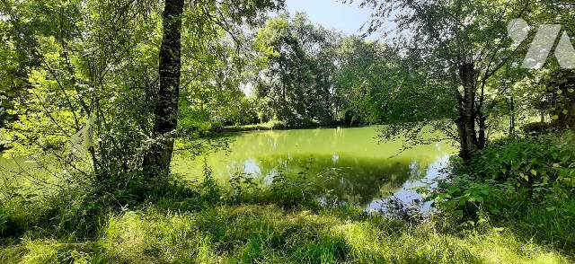 Vente - Terrain - TRUYES - 642 m² - 022/1159