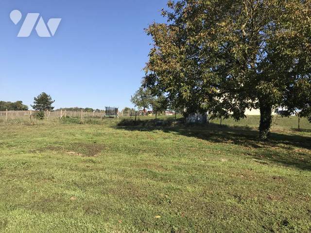 Vente - Terrain - ARTANNES SUR INDRE - 1 261 m² - 032/1376