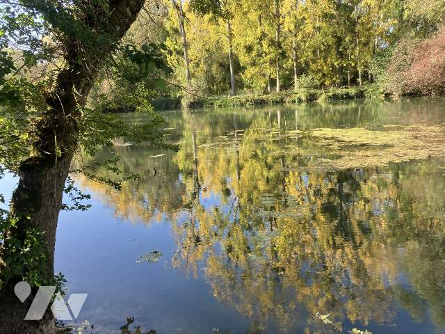 Vente - Terrain - ARTANNES SUR INDRE - 6 764 m² - 032/1380