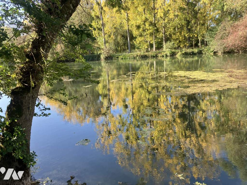 VENTE terrain-ARTANNES SUR INDRE (37)