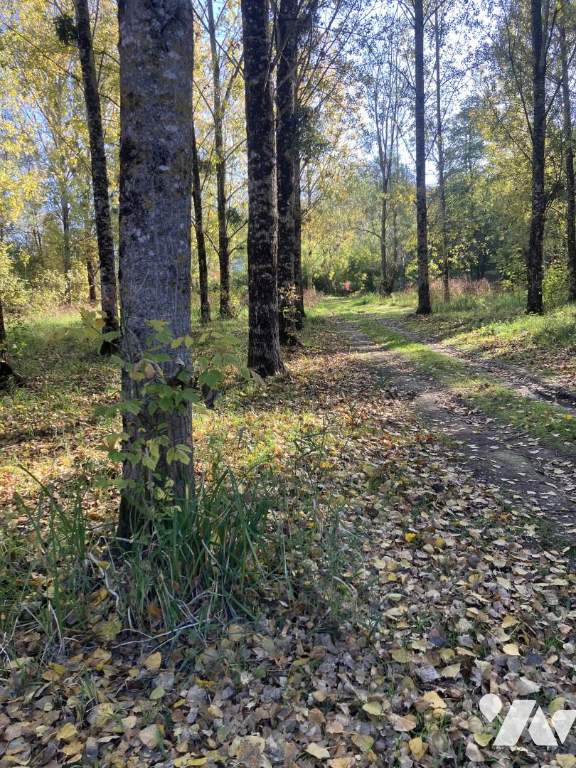 VENTE terrain-ARTANNES SUR INDRE (37)