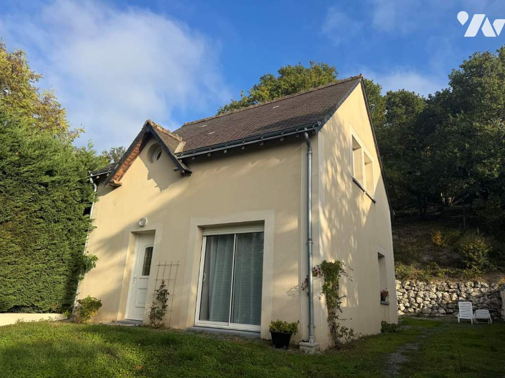 VENTE maison-ST MARTIN LE BEAU (37)