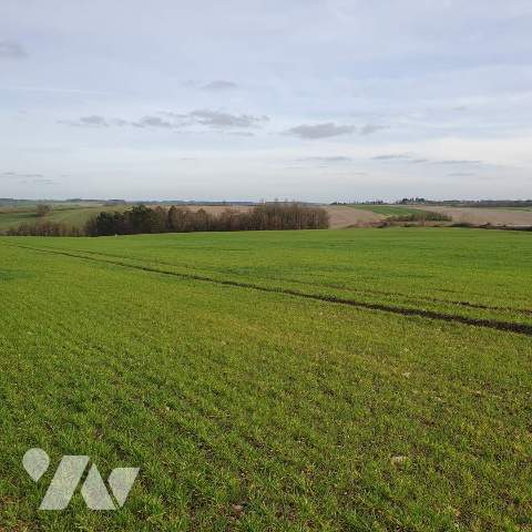 Vente Bien agricole VERNEUIL SUR INDRE