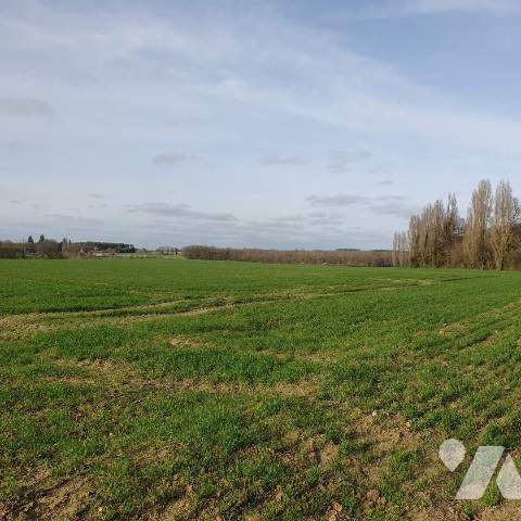 Vente Bien agricole VERNEUIL SUR INDRE