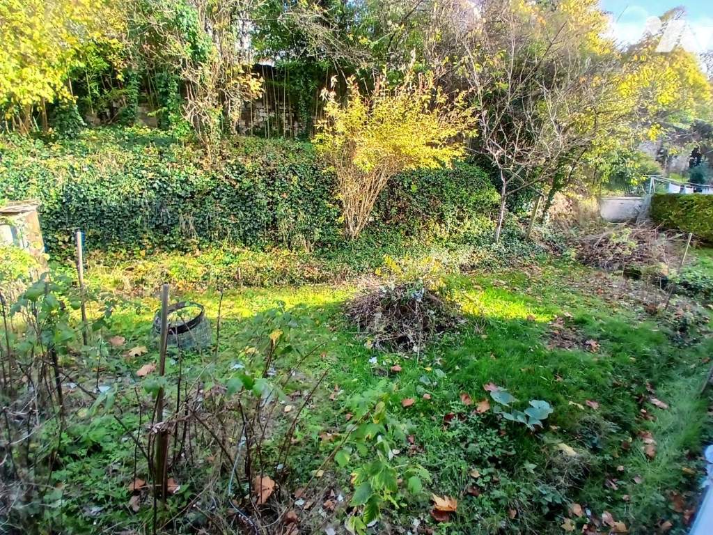 VENTE maison-LOCHES (37)