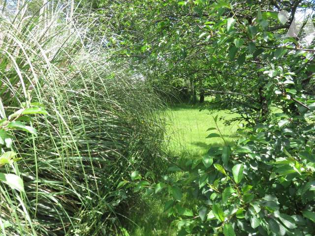 Vente - Terrain - LA MARNE - 412 m² - 037/880