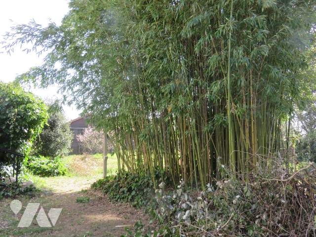 Vente - Terrain - MACHECOUL - 863 m² - 037/905