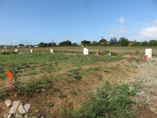 Vente - Terrain - MACHECOUL - 218 m² - 037/923