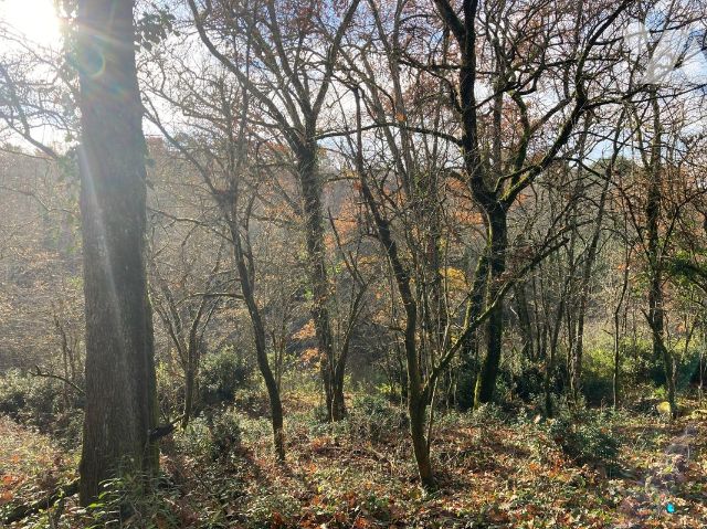 Terrain 1227 m² · à Cahors · 1 227 m² · 50 000 €