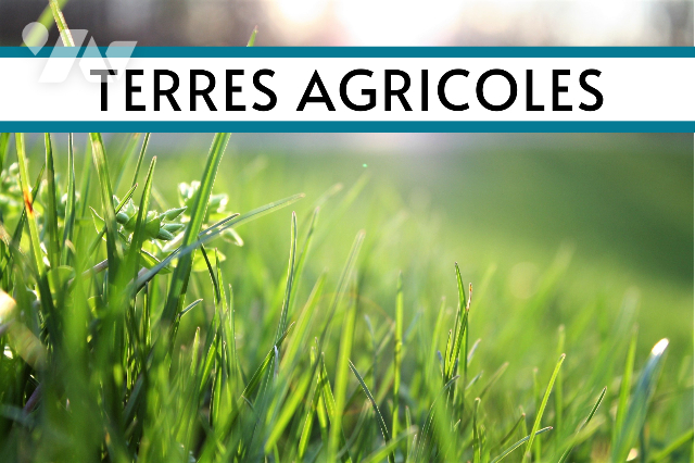 Terrain — Folligny